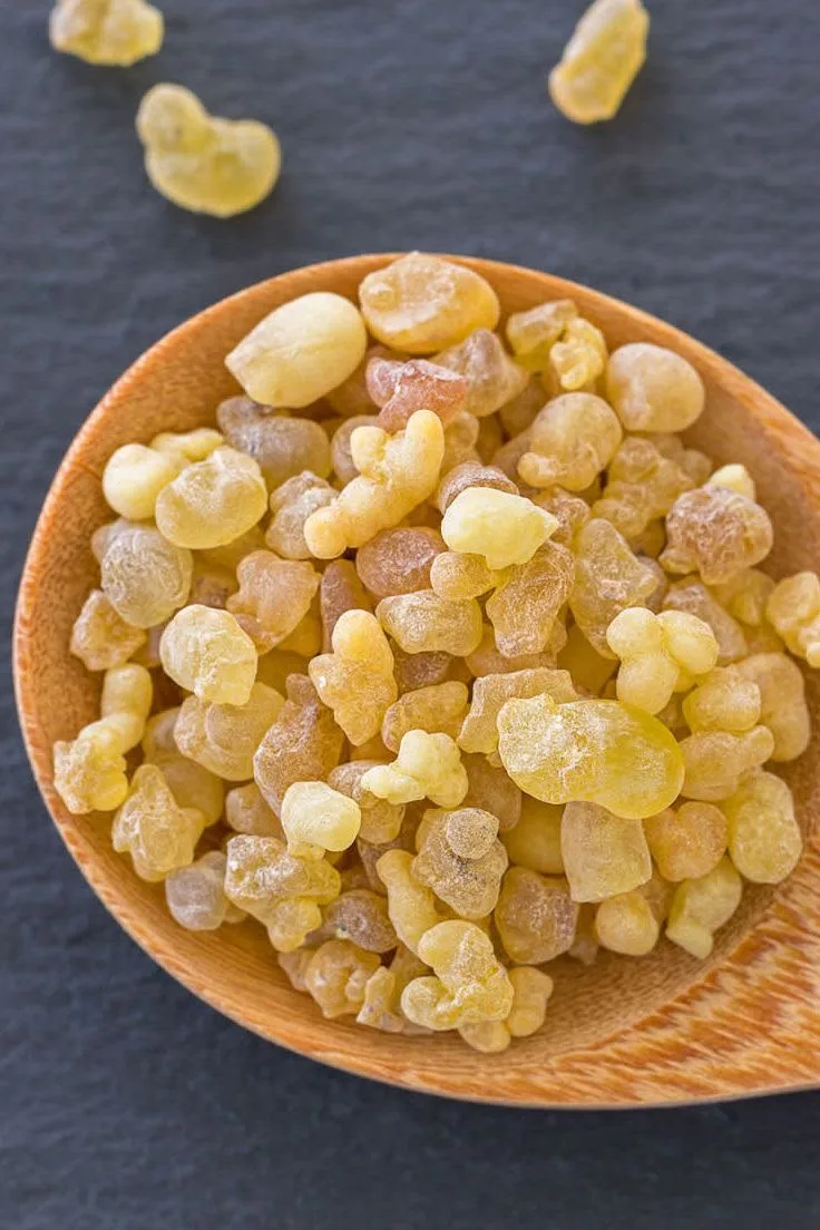 Frankincense tears sorted in a wooden spoon